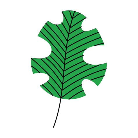 green tropical leaf 11147561 Vector Art at Vecteezy