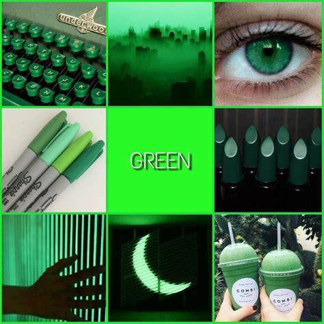 Dark Green Moodboard Aesthetic By Randomaesthetics On Deviantart