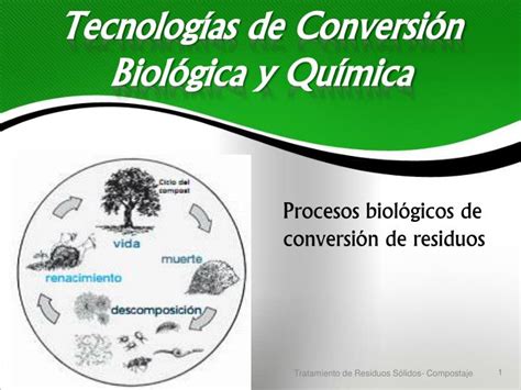 Ppt Tecnolog As De Conversi N Biol Gica Y Qu Mica Powerpoint