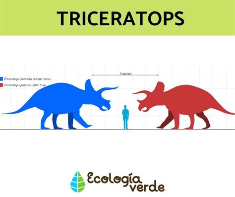 DINOSAURIOS HERBÍVOROS Nombres Tipos Características e Imágenes