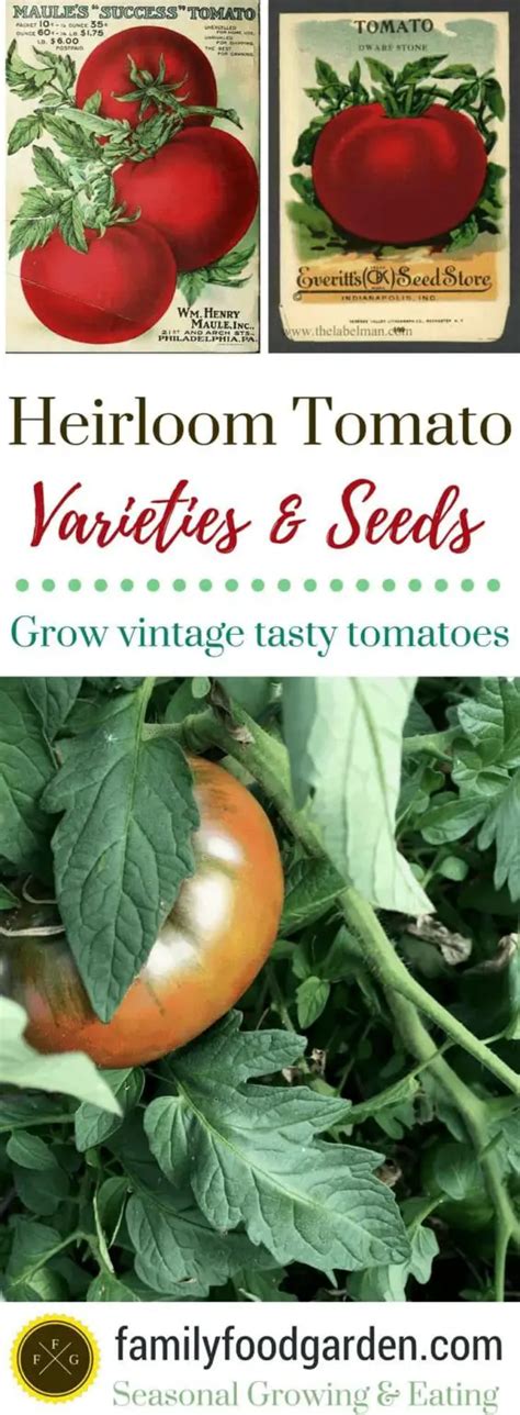 Heirloom Tomatoes [What Are They and Best Varieties] | Family Food Garden