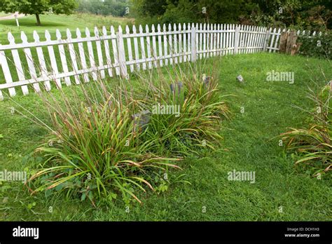 Grave Markers With White Picket Fence In The Background Malabar