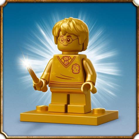 Конструктор LEGO Harry Potter Хогвартс: ошибка с оборотным зельем 217 ...
