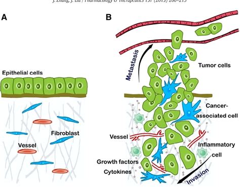 Table 3 from Tumor stroma as targets for cancer therapy. | Semantic Scholar