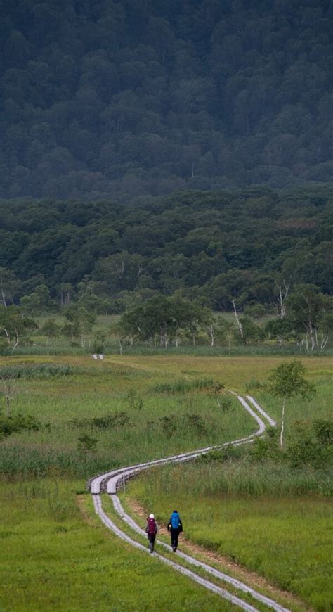 《尾瀬折々⑥》濃緑の崖流れ落ちる最奥の絶景 三条ノ滝 上毛新聞社のニュースサイト