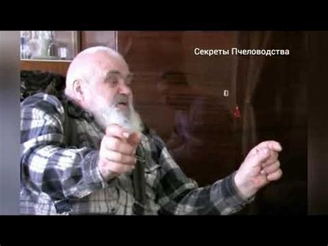 В этого пчеловода никогда не гибнут пчёлы. Почему? - YouTube