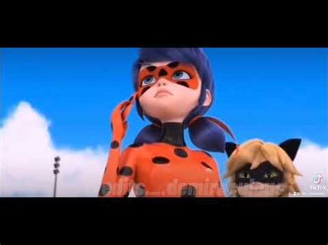 El Gato Volador Meme Miraculous Miraculous Ladybug Movie