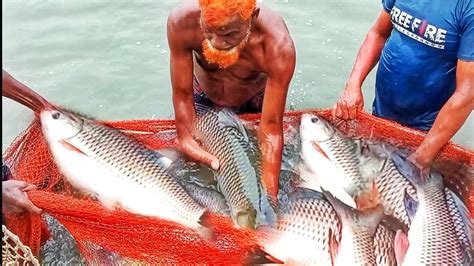 Amazing Big Fishing Catching Skill Traditional Net Fishing And Net