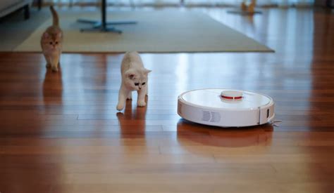 How Does a Robotic Vacuum Cleaner Work? (A Complete Guide ...