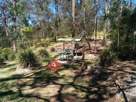 Gold Mine Picnic Area Mt Coot Tha