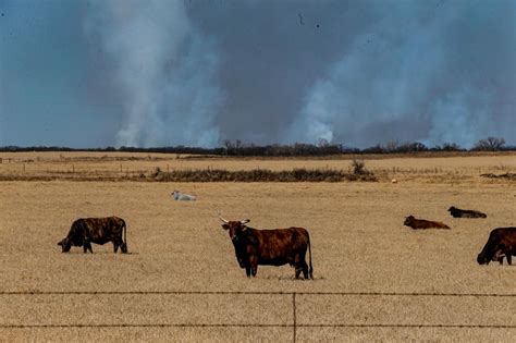 Photos Wildfires Burn In Colorado And Texas Cnn