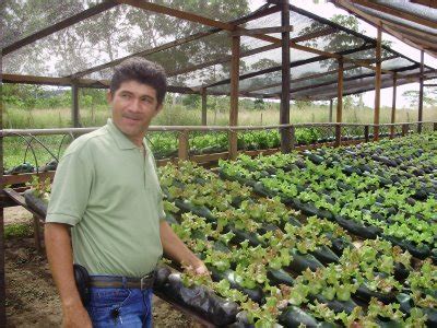 Reciclagem em Itacaré Bahia Brasil Hidroponia Garrafas Pet