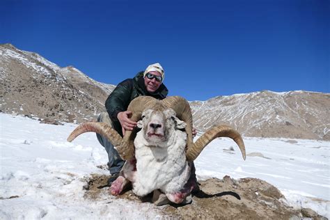 Gallery Tajikistan – Wild Hunting Outfitters Asia