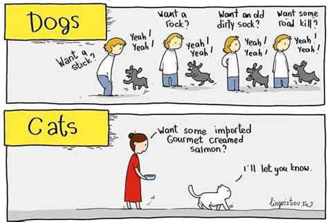 10+ Hilarious Differences Between Cats And Dogs