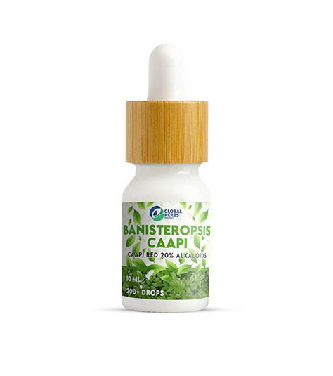 Banisteriopsis Caapi Alkaloid Extract Avalon Magic Plants