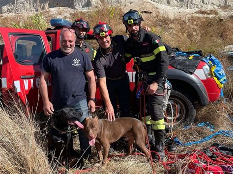 Due Cani Cadono In Un Burrone Nel Vibonese Recuperati Dai Vigili Del