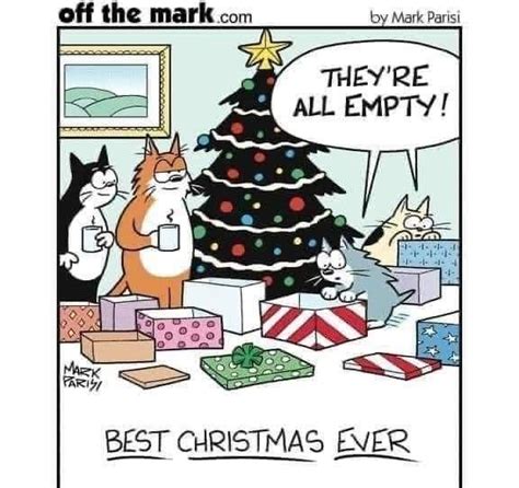 Pin By Lori Lynn On Christmas Christmas Cats Christmas Humor Cat Jokes