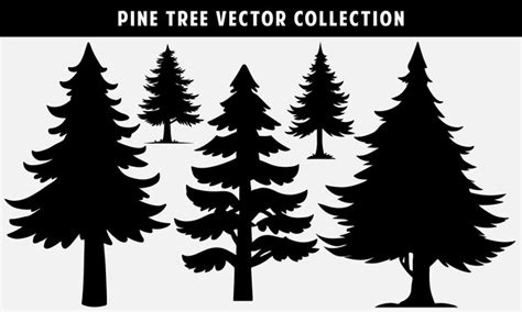 Premium Vector Set Silhouette Of Pine Trees Vector For Website And