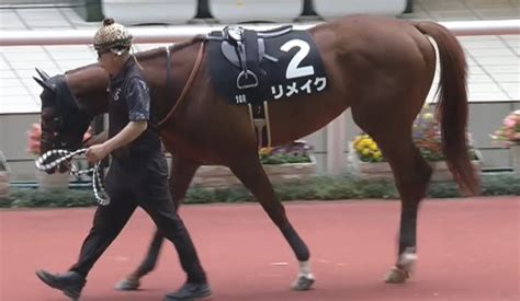 ユニコーンステークス2022予想・本命はリメイク 競馬で生活する僕は