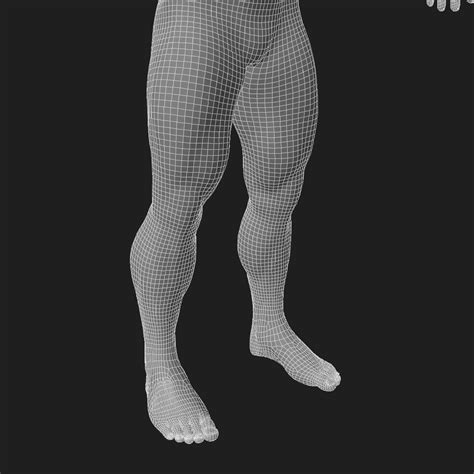 Human Male Full Body Anatomy 3d Model Cgtrader