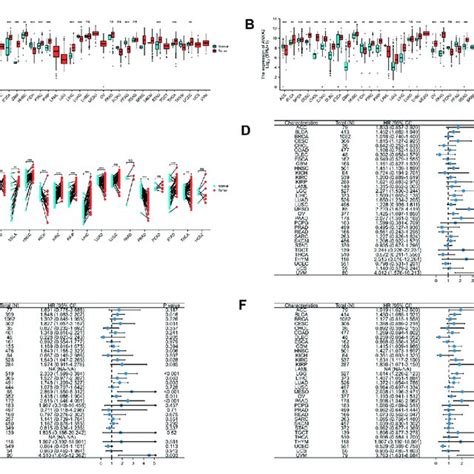 Differential Expression And Prognostic Value Of Anxa2 In Pan Cancer Download Scientific