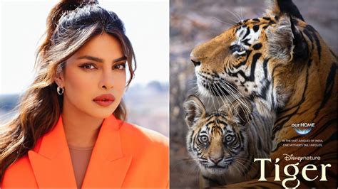 Priyanka Chopra Announces Release Date Of New Film Tiger India Today