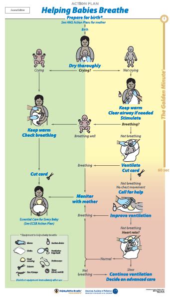 Helping Babies Breathe 2nd Edition Action Plan Healthy Newborn Network