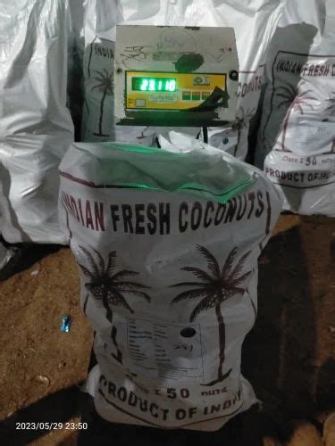 A Grade Pollachi Fully Husked Coconut Coconut Size Large At Rs 37 Kg