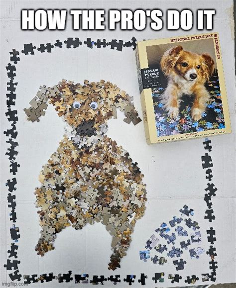 Professional Jigsaw Player Imgflip