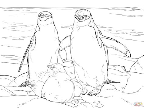 Chinstrap Penguin Family coloring page | Free Printable Coloring Pages