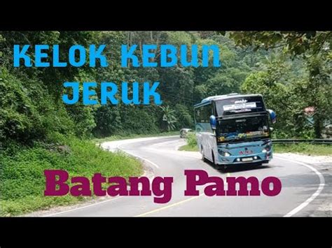 Kelok Kebun Jeruk Batang Pamo YouTube