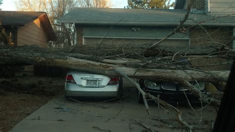 High Winds Knock Down Trees Poles Cut Power To Thousands Fox31 Denver