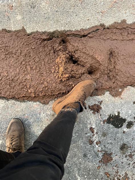 Come Infangarsi Nel Cemento Fresco Per Strada A Ragusa Ragusa