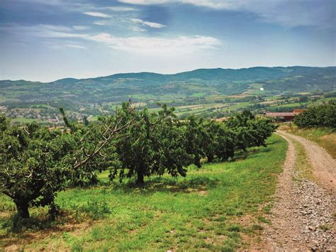 Saône et Loire Rando VTT Grande Traversée du Rhône à VTT GTR