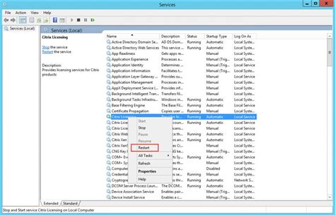 How To Setup And Configure Citrix Licensing Server 11 12 1 Vikash Pragmatic It Solutions