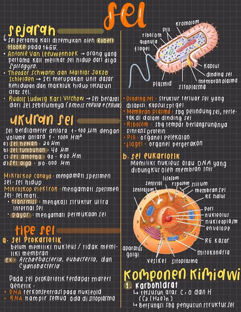 Ringkasan Biologi Kelas 11 Hot Sex Picture