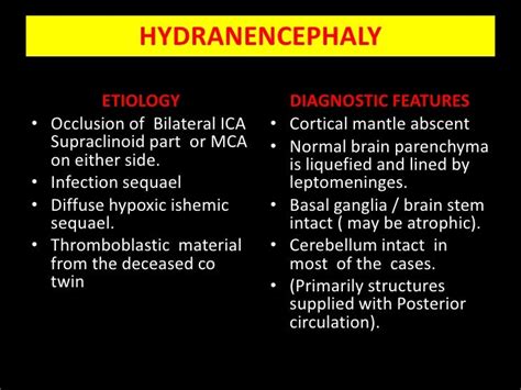 Hydrancephaly