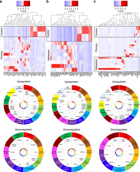 Heat Map Based Hierarchical Cluster Analysis Of De Genes X Axis Download Scientific Diagram