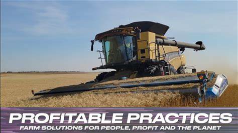 Profitable Practices Stripper Header Boosts Harvest Capacity Saves