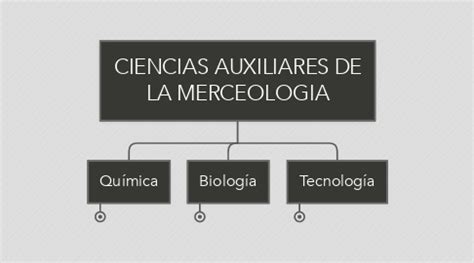 Ciencias Auxiliares De La Merceologia Mindmeister Mind Map