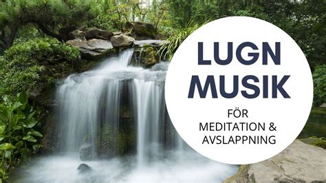 Lugn Musik F R Meditation Och Avslappning Vila Vid Vattnet Youtube