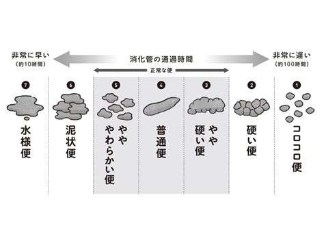 あなたの便のタイプはどれ？ 腸の状態を教えてくれる“観便”とは｜infoseekニュース