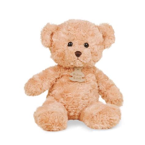 Peluche B B Ours Calin Miel Cm De Histoire D Ours Sur Allob B