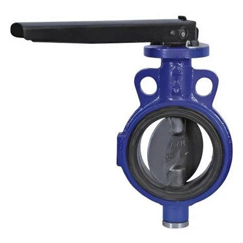 Cast Iron Butterfly Valve Pn At Rs Cast Iron Butterfly Valve