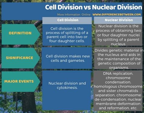 Difference Between Cell Division and Nuclear Division | Compare the ...