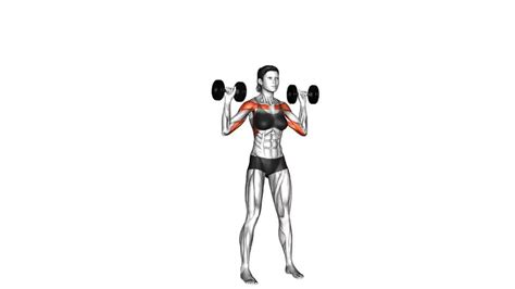 Dumbbell Standing Overhead Press Video Guide Lyfta