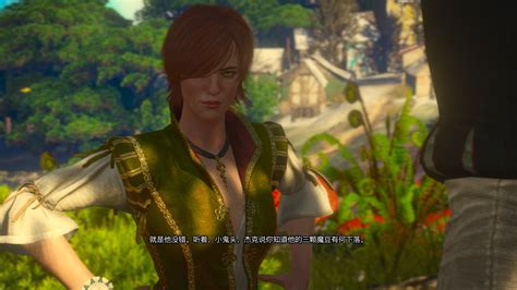 白丝夏妮替换席安娜下载 V1 0版本 巫师3：狂猎 Mod下载 3dm Mod站