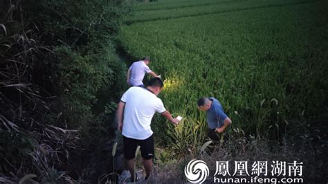 湖南邵东：多措并举引水灌溉 干群齐心抗旱保收凤凰网湖南凤凰网