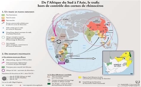 Carte à la une le trafic de cornes de rhinocéros carte du lauréat du