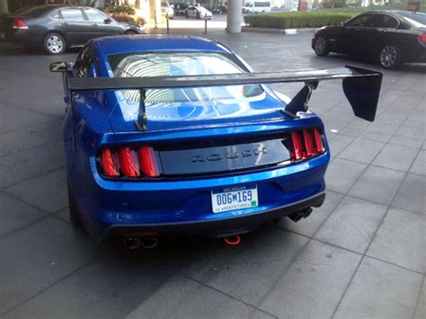 Rou2 Mustang Maniac
